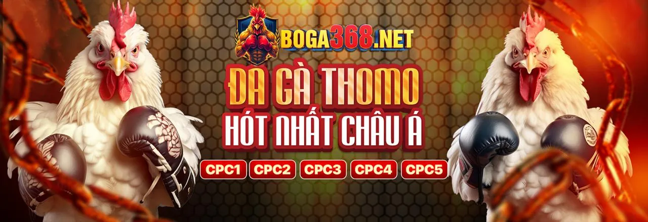 Giấy phép hoạt động của 32win11 nhà cái