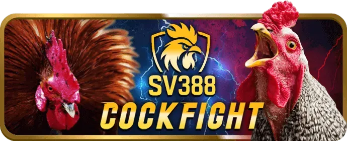 Minh họa các biện pháp bảo mật dữ liệu của 32win11 nhà cái